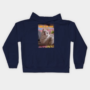 the cats want you to look at her face Kids Hoodie